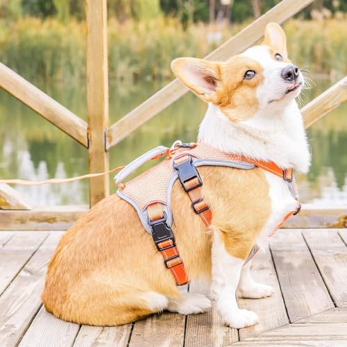 BELPRO Mehrzweck-Hundegeschirr, ausbruchsicher, kein Ziehen, reflektierend, verstellbare Weste mit strapazierfähigem Griff, Hundegeschirr für große/aktive Hunde(Orange, S)