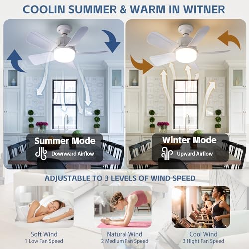 Redstar E26 Base Fan Light With Remote, Cordless/Wireless, Plug In Ceiling Fan With Light, Replacement For Restaurants, Aisles, Halls, Porch, Cloakrooms thumb #7