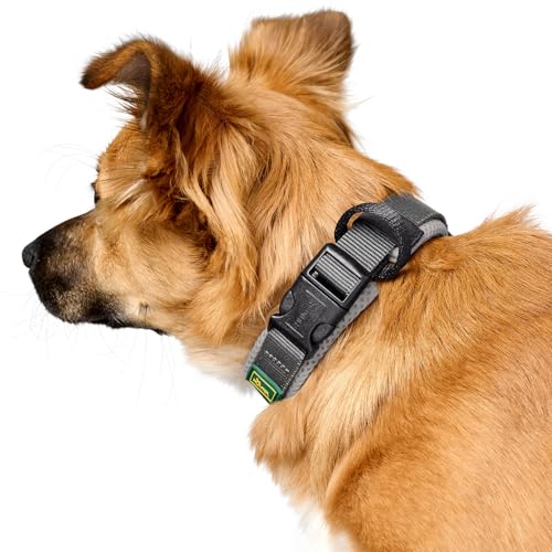 Hunter Halsband Maldon, Farbe: grau, atmungsaktives Mesh, Robustes Nylon, lautlos & allergikerfreundlich, Zugentlastung, integriertes Adresslabel, besonders leicht, Größe: S