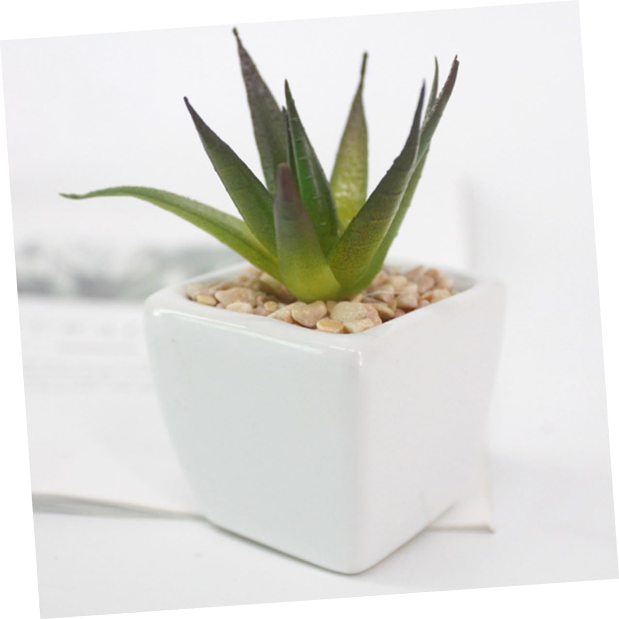 Mipcase 6 Pièces Succulente Artificielle en Céramique Blanche Mini Bonsaï