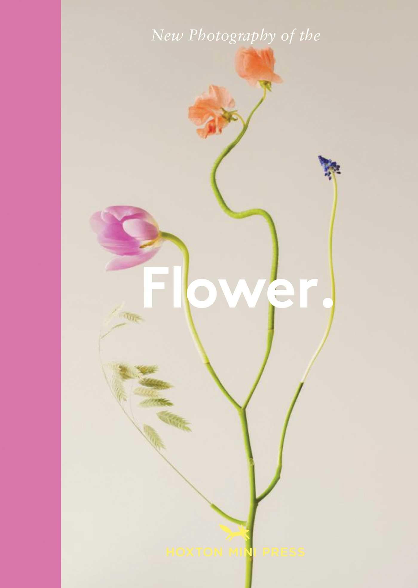 Flower. by Hoxton Mini Press HARDBACK 9781914314957