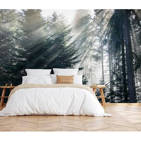 Toolhom Forest in The Fog Mural Cover