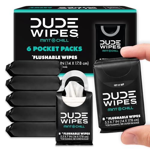 DUDE Wipes Mint Chill Pocket Packs
