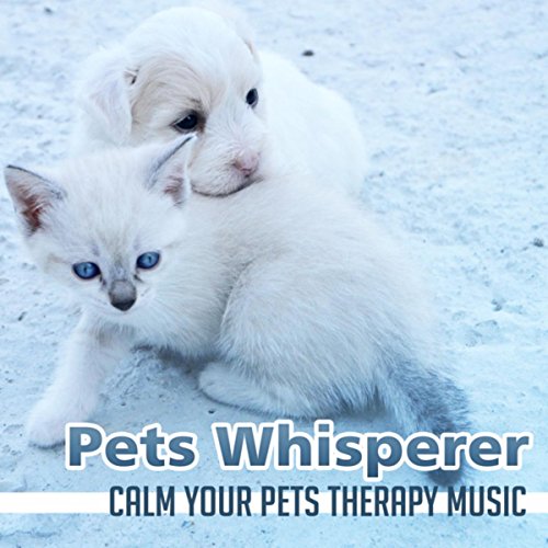 Small Present for Calm Kittens