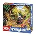 Springbok's Tunnel Pass 1000 Piece Jigsaw Puzzle for Adults by Artist Catorina Crehan - Features a Steam Train Engine Emerging from a Tunnel - Made in USA