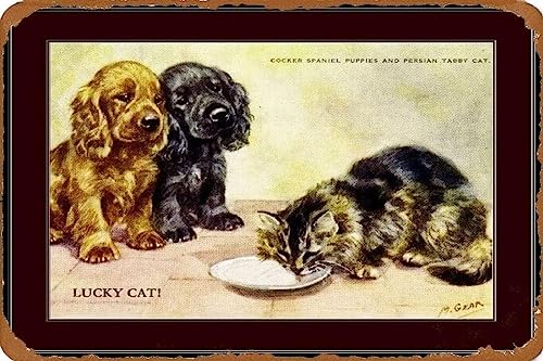 AJ AeB[N Ŕ̃uLŔ 20X30cm pvgRbJ[XpjGqyVqLL摜vg Be[W uL AJ W 20X30cm