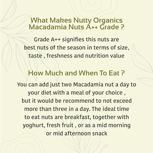 Image of NUTTY ORGANICS Macadamia Nuts - 100G From Aaustralia (Grade A ++ Nuts, Premium Jumbo Size)