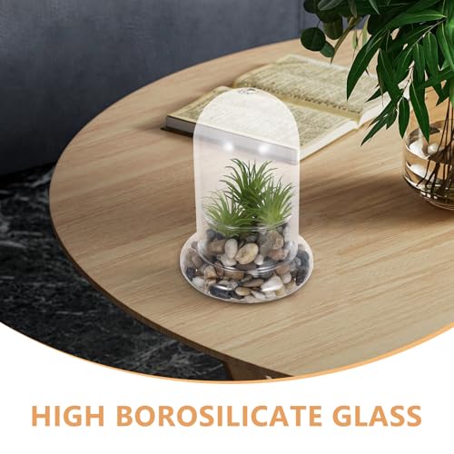Bouteille en verre borosilicaté trou 8mm pour embellir votre bureau de verdure - 4