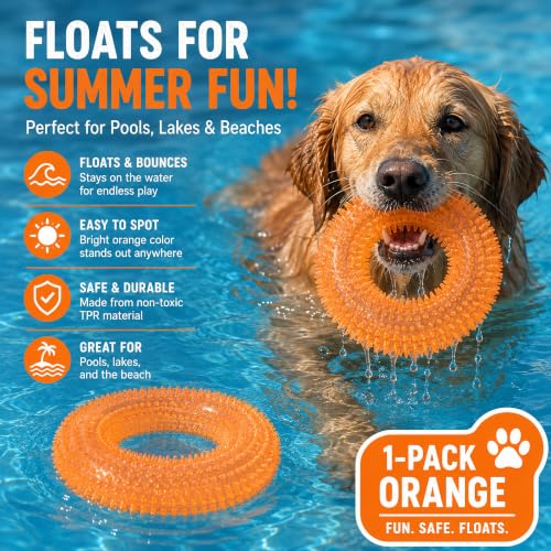 Image of Squeaky Dog Toys for Aggressive Chewers, Floating Donut Ring for Large Dogs