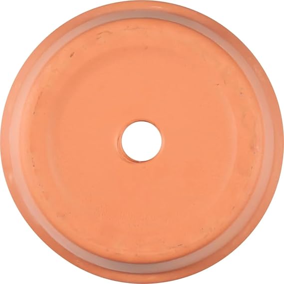 8 inch Round Terracotta Clay Pot with Drainage Holes to Prevent Over Watering.