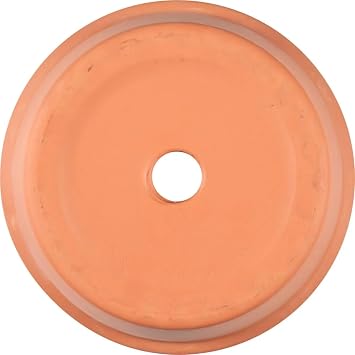 8 inch Round Terracotta Clay Pot with Drainage Holes to Prevent Over Watering.