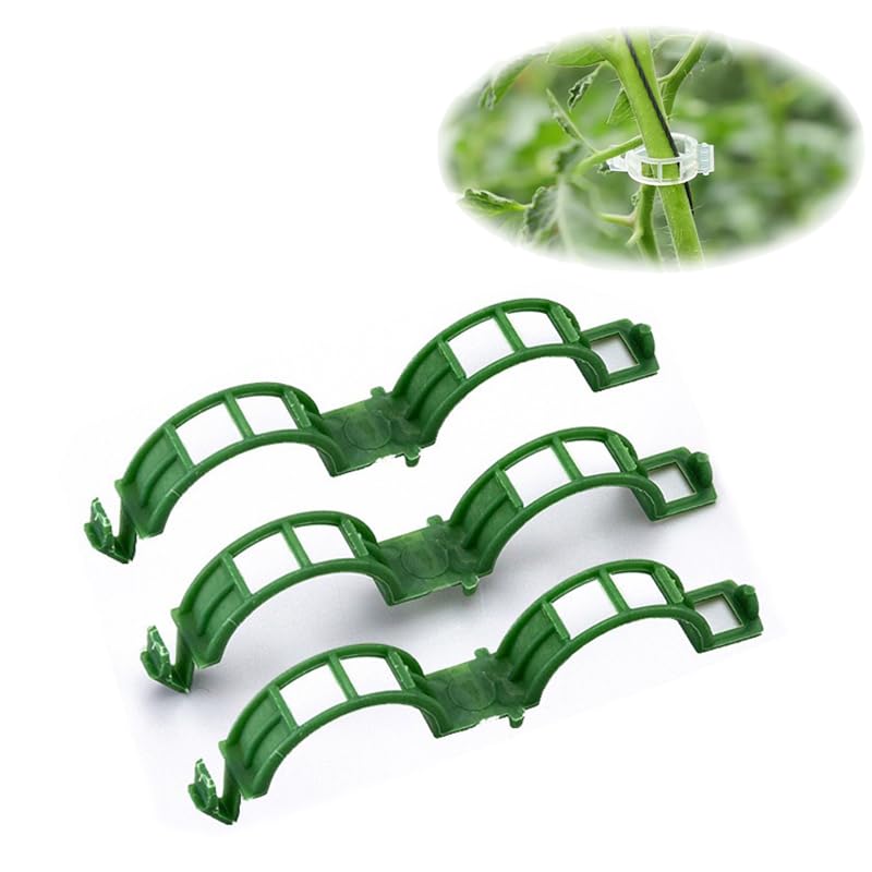 Secured Plastic Plant Clip, 2024 Upgrade Secured Plastic Plant Clip, Plant Support Clips for Garden Vine Plant Vegetables Tomato (100 Pcs,Green)