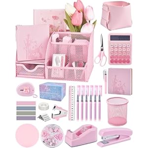23pc Pink Desk Accessories and Organizers With Mesh Organizer Stapler Tape Dispenser Calculator and a Lot of Office Pink Office Supplies Beautifully Presented in a Gift Box