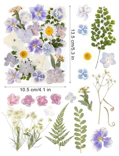 120 flores secas prensadas de hortensia para manualidades miniatura 2