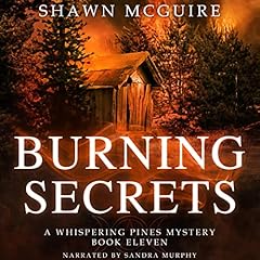 Page de couverture de Burning Secrets