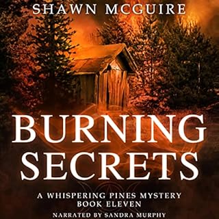 Burning Secrets Audiolibro Por Shawn McGuire arte de portada