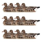 Avian-X Topflight Specklebelly Floating Goose Decoys with True to Life Postures for Hunting Use, Outdoor Sports, and Recreation, 12 Pack, Multi