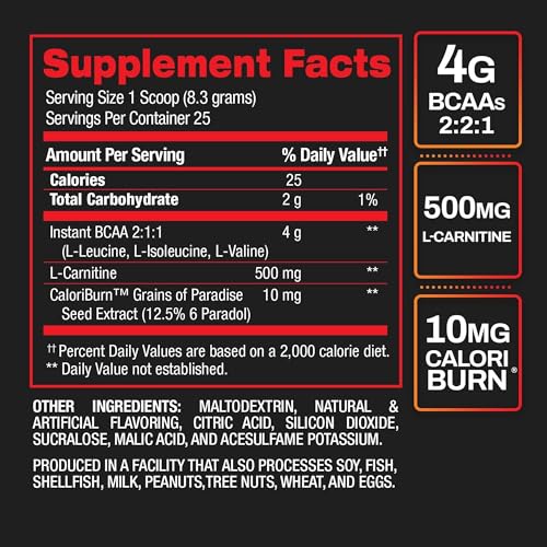 BPI Sports Best BCAA Shredded Recovery Drink