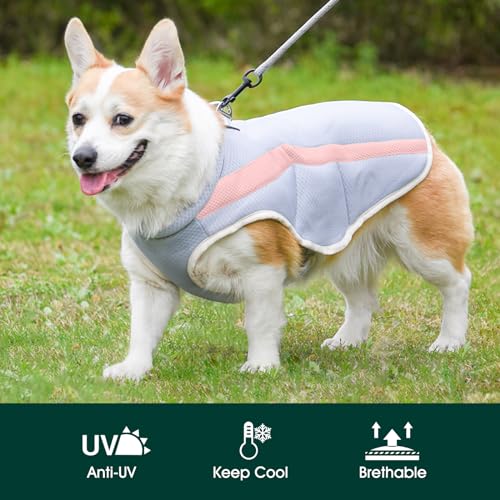 Kuoser Kühlweste für Hunde, Einstellbar & Reflektierender Kühlweste Hund für Heißen Sommertag, Sonnenschutz Hunde Kühlweste Kühl Hund für Outdoor Aktivitäten Wandern Spaziergang