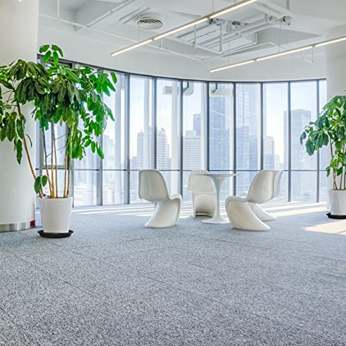 Zunteng Black Plastic Plant Saucer, 3Pcs Plant Tray,12Inch Flower Plant Pot Saucer For Indoor And Outdoor #TOP5