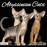 2027 Wall Calendar, Abyssinian Cats Wall Calendar, 12' x 24' Open, Family Planner Calendar Organizer with Abyssinian Cats Images, for Cat Lovers