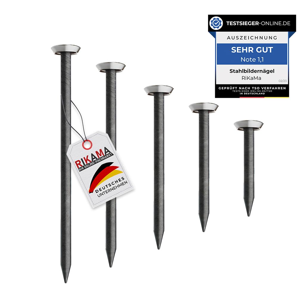 RIKAMA® – 50 Bildernägel im Mix aus je 10 x 20mm, 25mm, 30mm, 40mm, 50mm – Stahlnägel für den Einsatz auf Beton, Ziegelstein, Putz & Holz – Made in Europe (Silberner Kopf)