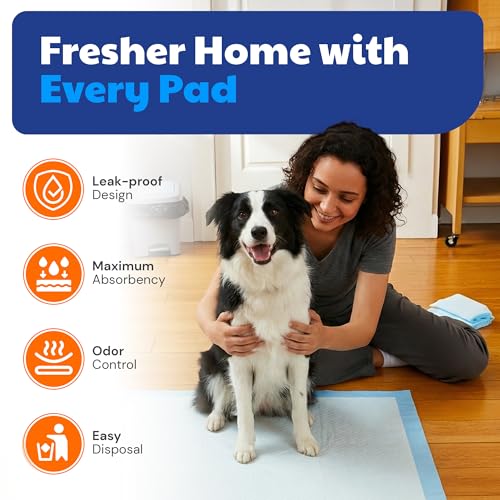 Image of American Kennel Club Puppy Training Pads with Ultra Absorbent Quick Dry Gel - 28 x 30 Pee Pads for Dogs - 50 Count , XL(Unscented)