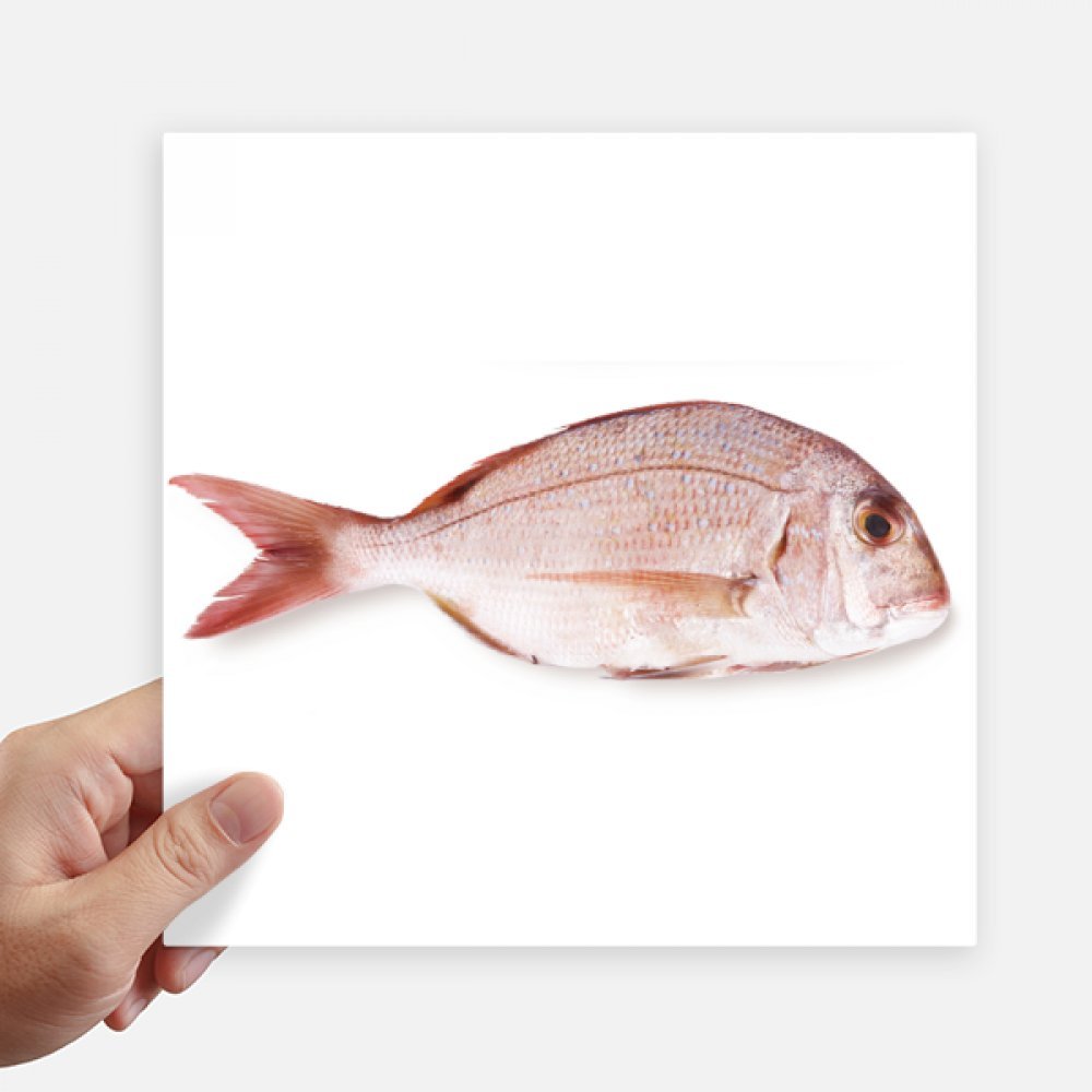Autocollant carré poisson océan DIYthinker 20cm déco portable 4pcs