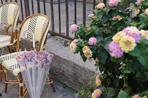 Smati Paris - Lady’s Clear Birdcage Umbrella Decorated With Multicolored Lace Flowers Border– Transparent; Windproof; Auto Open; Crystal Style Handle; French Design #TOP1