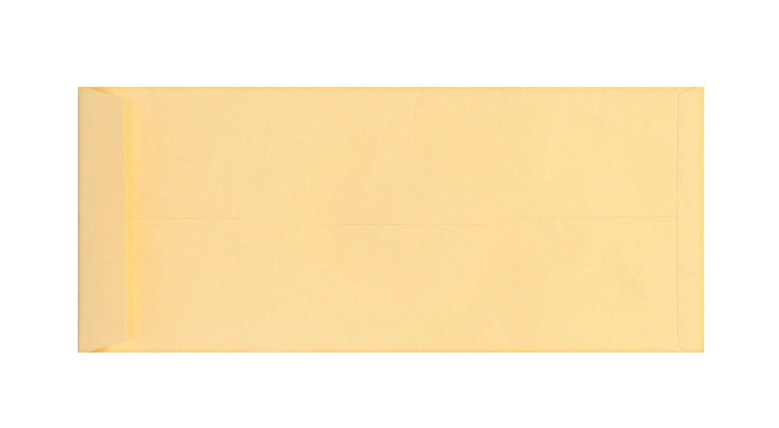SAYA Buste laminate, confezione da 50, buste impermeabili per spedizioni e regali, ideali per casa, lettere, ufficio, documenti e regali in denaro (28 x 12,7 cm)