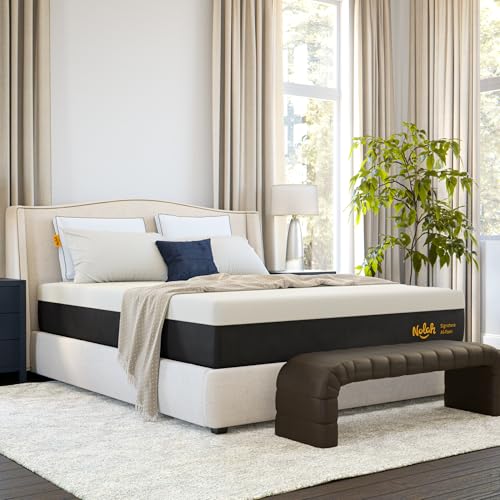 Nolah Signature Foam Mattress