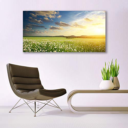 Plastique imprimés tableau mural fleurs meadow paysage décoration