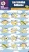 ESTRELLAS BILLANTES STICKERS (Reward Stickers)