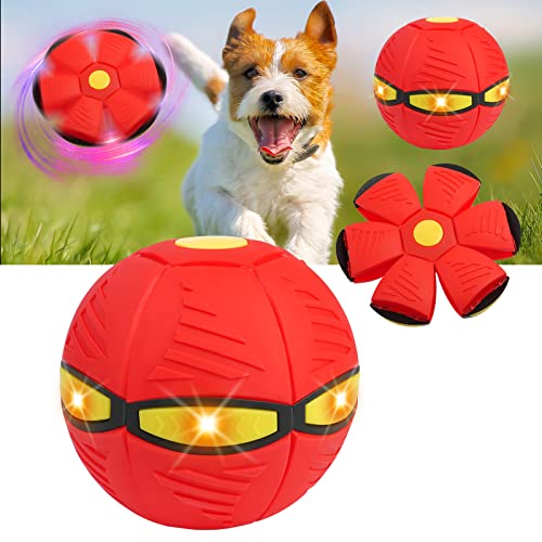 Igliori Palline Per Cani Taglia Piccola - Guida Alla Scelta - Foto 6