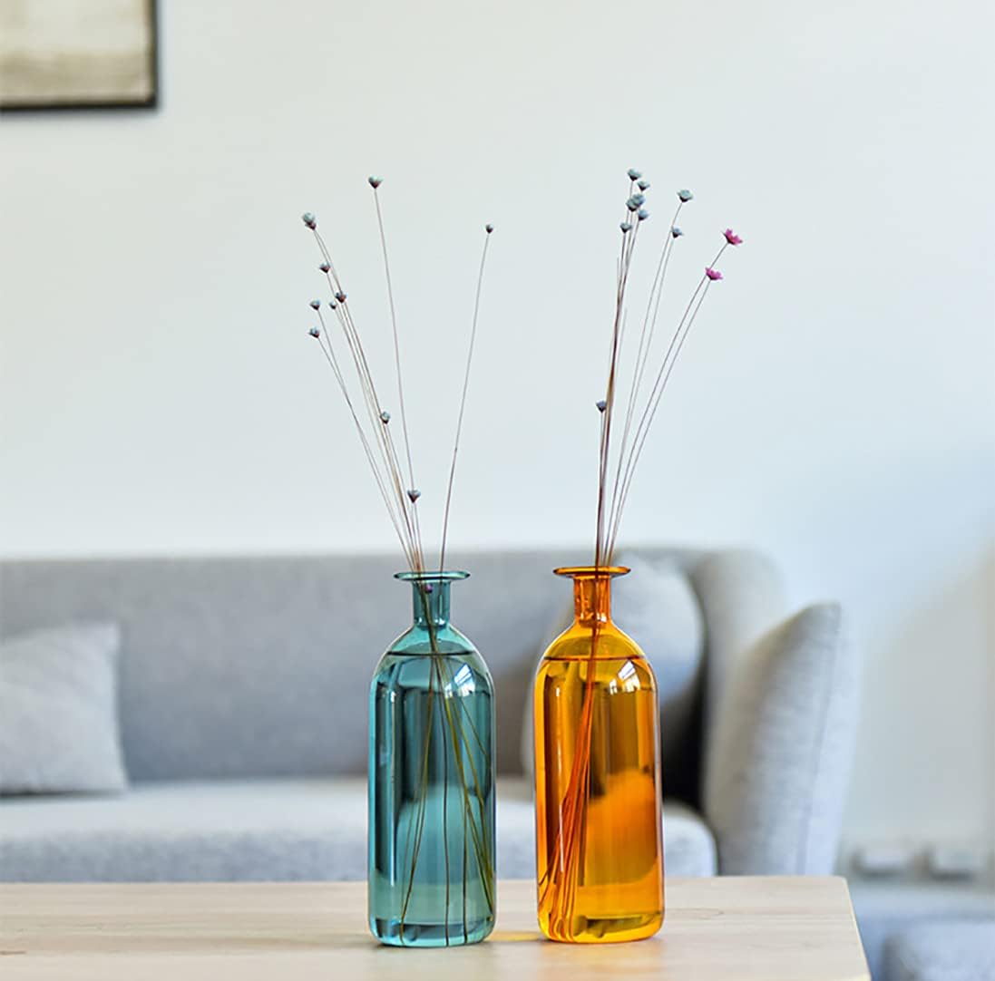 Bud Vase for Décor Small Vases for Flowers Set of 2 Colored Glass Vase for Décor Living Room Modern Home Decor Bookshelf Decorations (Two Pieces)
