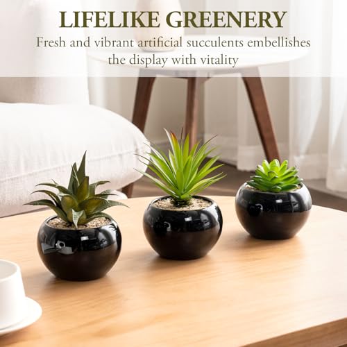 MyGift-Mini-Assorted-Artificial-Succulents-in-Round-Black-Ceramic-Pots-Mixed-Realistic-Indoor-House-Plants-Set-of-3