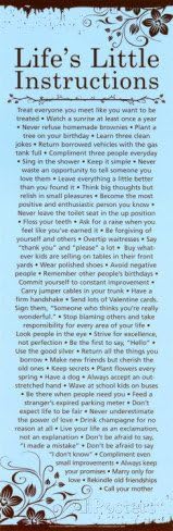 Life s Little Instructions 18-Inch by 24-Inch Poster Art Print