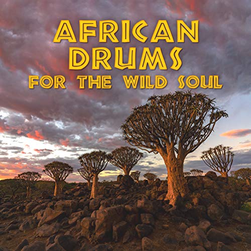 African Drums for the Wild Soul: Human Nature, Deep Harmony, Soft Music for Pure Energy, Inner Bliss