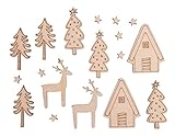 Rayher 46309000 Holz-Streuteile Winterhome, für winterliche Dekorationen, Set 18-teilig, FSC 100 Prozent