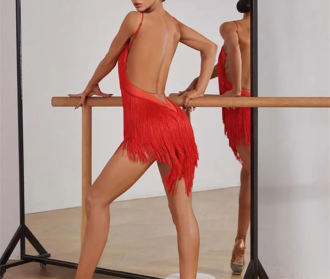 Women's Tassel Latin Dance Dress Fully Fringed Back for Modern Dance Performance ( size S )