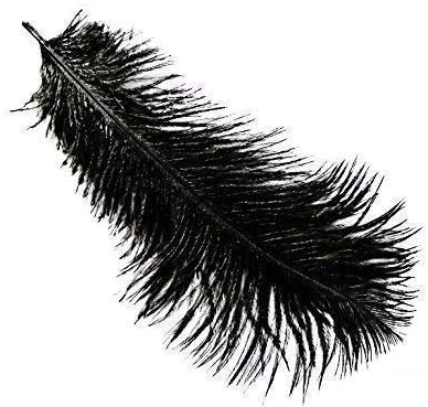 5 x 9-12" Black Ostrich Feathers