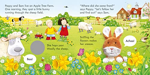 Poppy and Sam and the Bunny (Poppy and Sam Finger Puppet) (Farmyard Tales Poppy and Sam) - Image 4