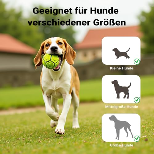 Wiltec Hunderampe faltbar, 156 x 40 cm, geklappt 79 x 40 cm, aus Kunststoff, rutschsicher, Traglast bis zu 90 kg, Haustierrampe