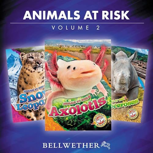 Experience The Full Audiobook Everyone Is Talking About — So Powerful!