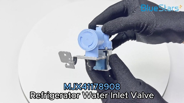 Amazon.com: BlueStars MJX41178908 Refrigerator Water Inlet Valve