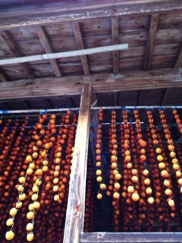 【干し柿】産地直送 長野県 わけあり 市田柿 ６００ｇ以上入り(３００ｇ以上入り× ２袋) ふぞろい 自家用 干 し 柿 [訳あり] 6枚目