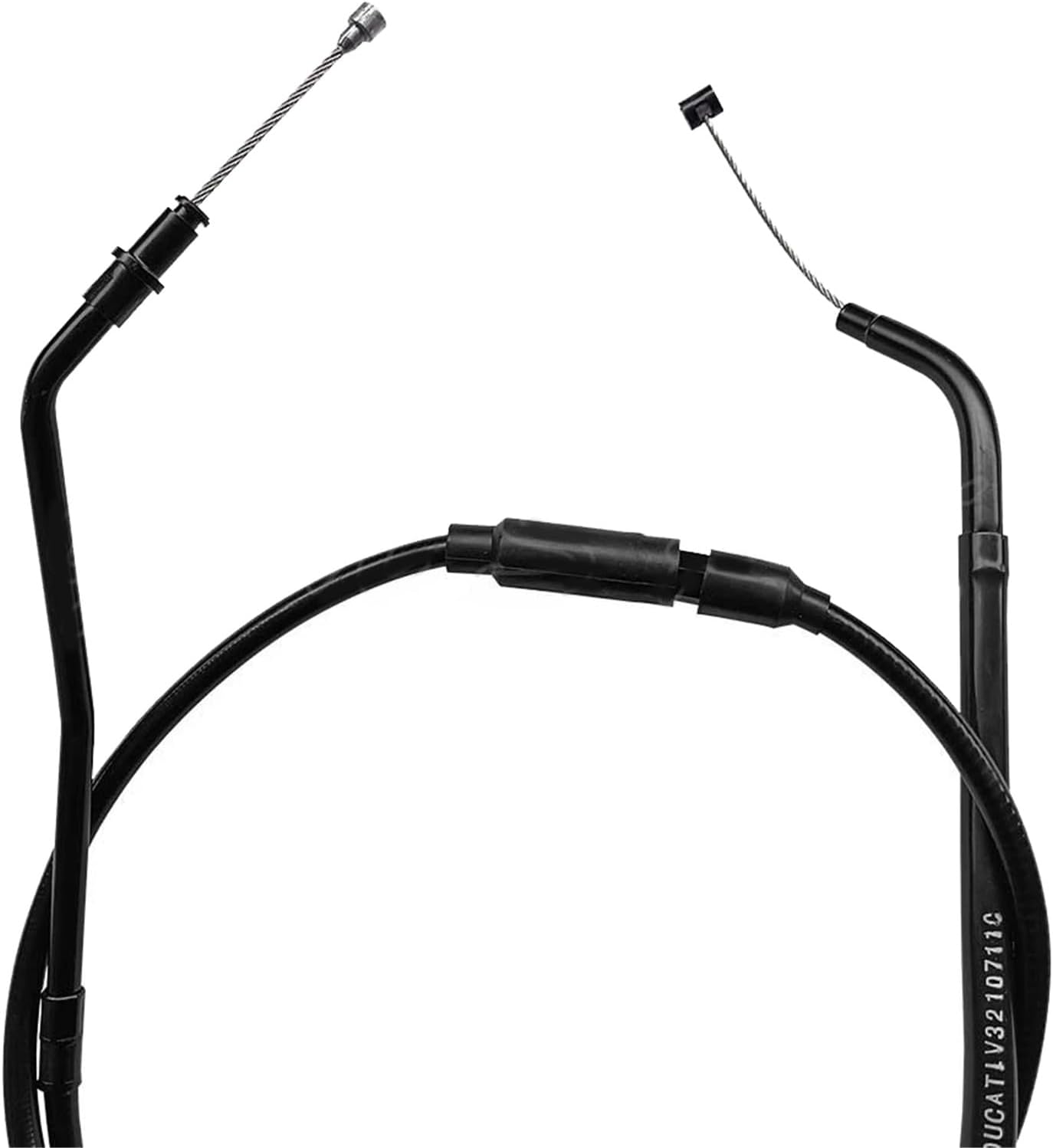 絵画 油絵 作者不詳 肉筆油絵 古木桜 作品一覧 注目の作品、gallery