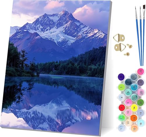 R G DIY Paint by Numbers for Adults  LbgqS hG  Lbg uVƃANG̋ yCgoCio[ l̃NtgANeBre z[ ItBX ւ̃Mtg 30x40c