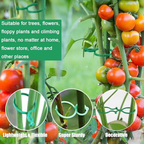 100 Stück Pflanzenclips für kletterpflanzen,Pflanzenklammern,Tomaten Rankhilfe,tomatenclips,Kunststoff Pflanzen Clip,Befestigung für Garten Gemüse/tomatenpflanzen/Blumen/Gemüse/tomatenpflanzen(Grün)