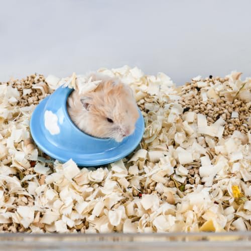 Planet-Shaped Ceramic Hamster Hideout, Cooling Summer Hamster Home (Blue) — 사진 5